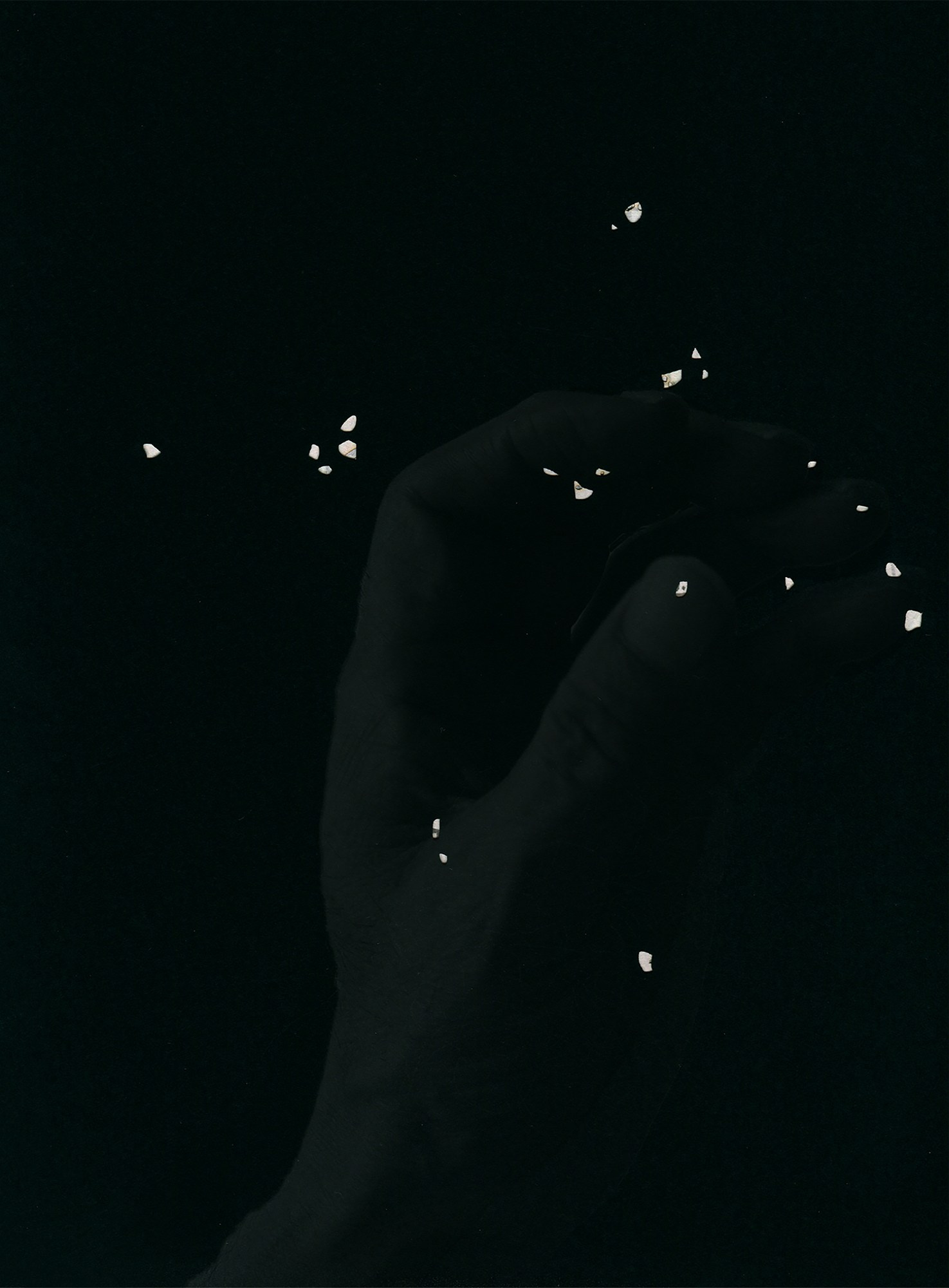 INTERVIEW WITH THE ARTIST: MOE SUZUKI. Самоорганизация Низина