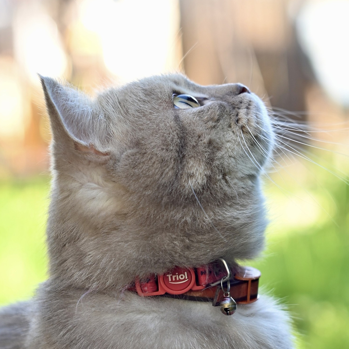 Вторая часть второй жизни Гелиос 44-2