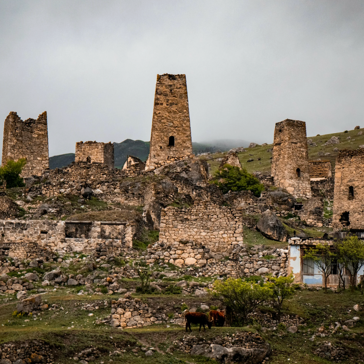 Северная Осетия. Семейный и детский фотограф в Москве