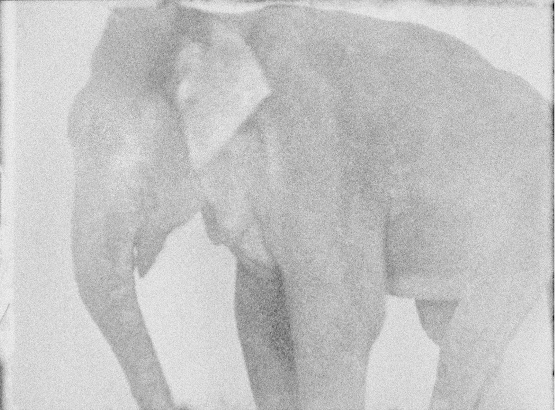 Michael Ackerman «End Time City». …