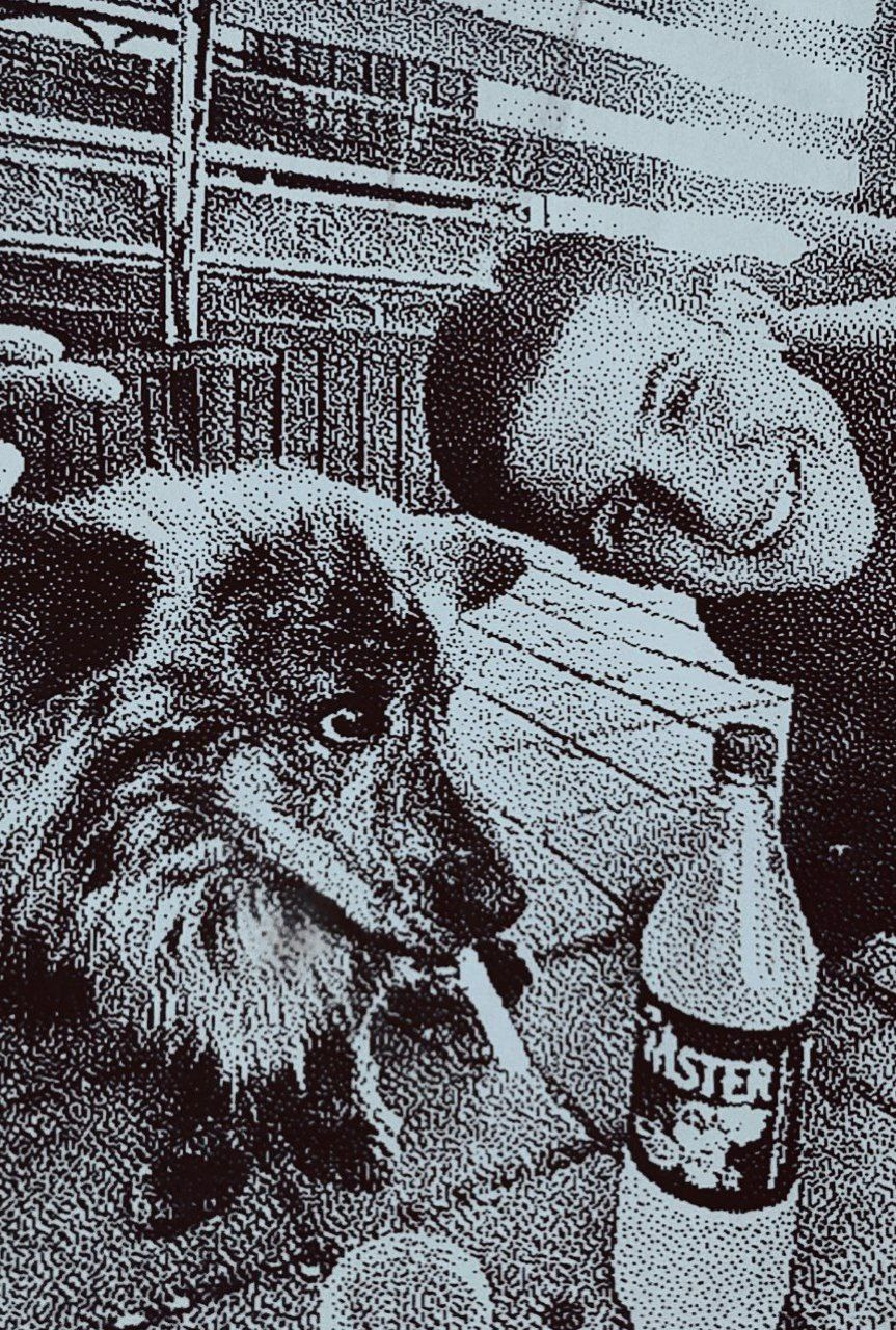 Белгород—Валуйки. Фотограф в Санкт-Петербурге и Нижнем Новгороде Яна Титова