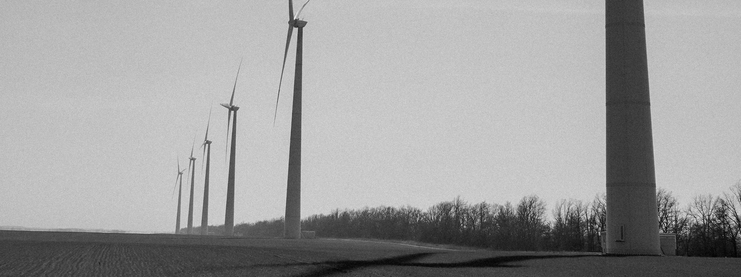 Фотограф и видеограф Зеленская Дарья