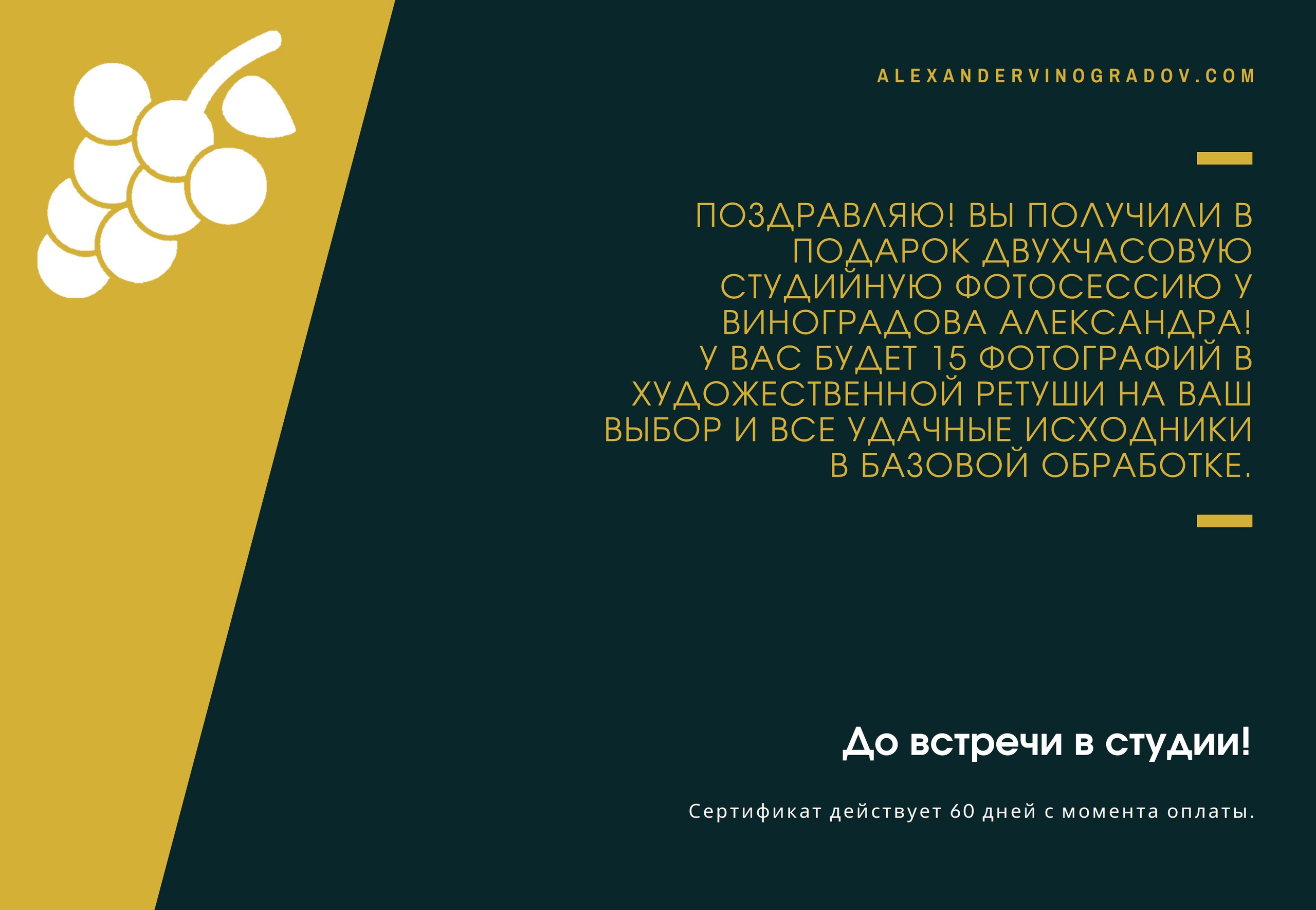 Стоимость съемки в студии. Портретный фотограф Виноградов Александр | Москва, Шатура