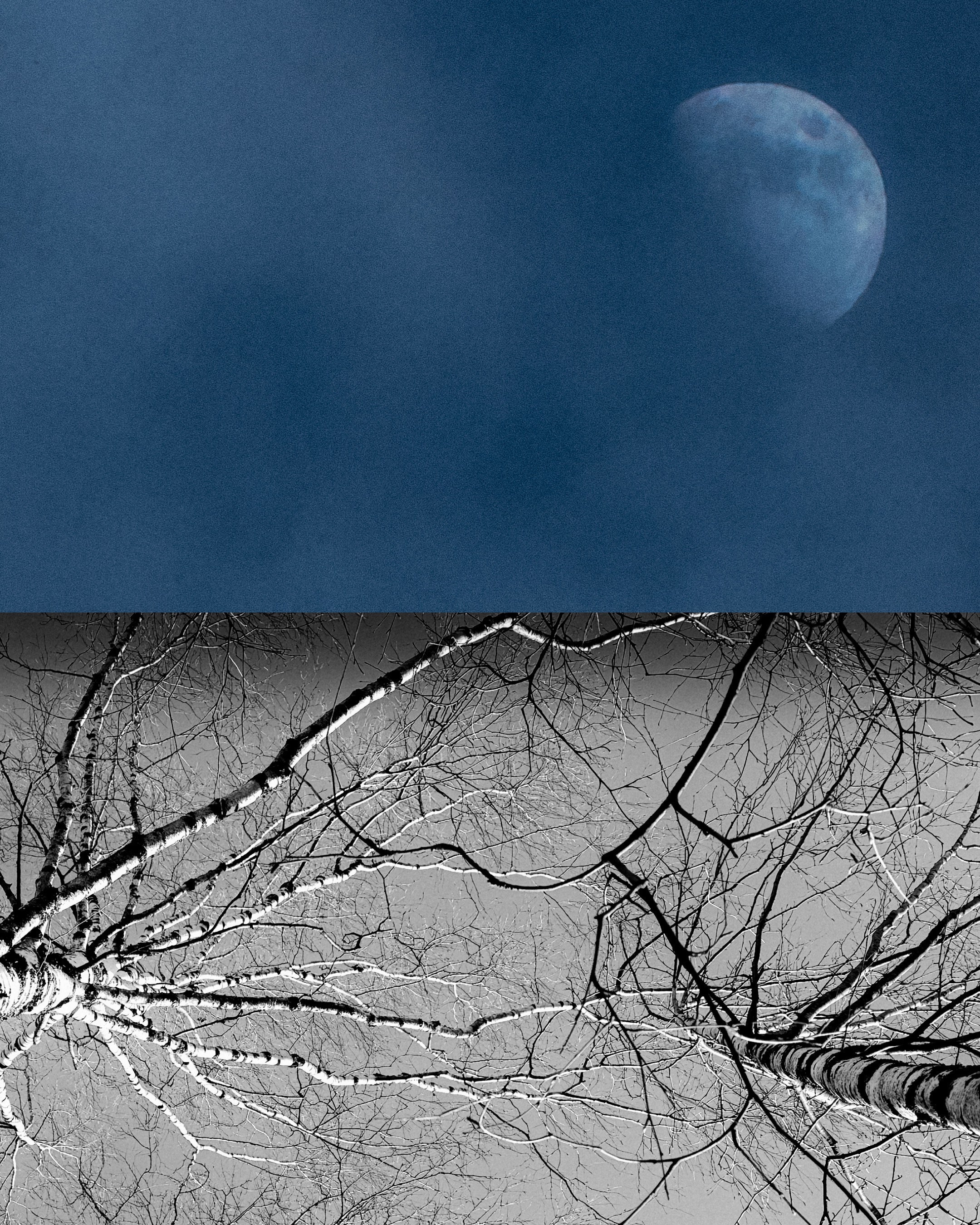 Минина Анна. ARTEXPOPHOTO