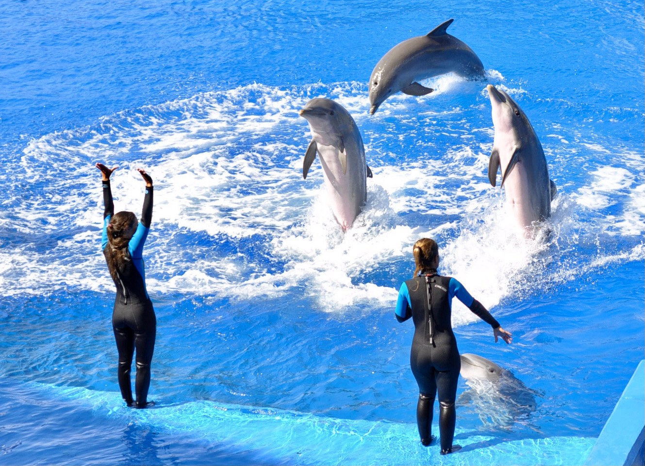 Океанографик Валенсия