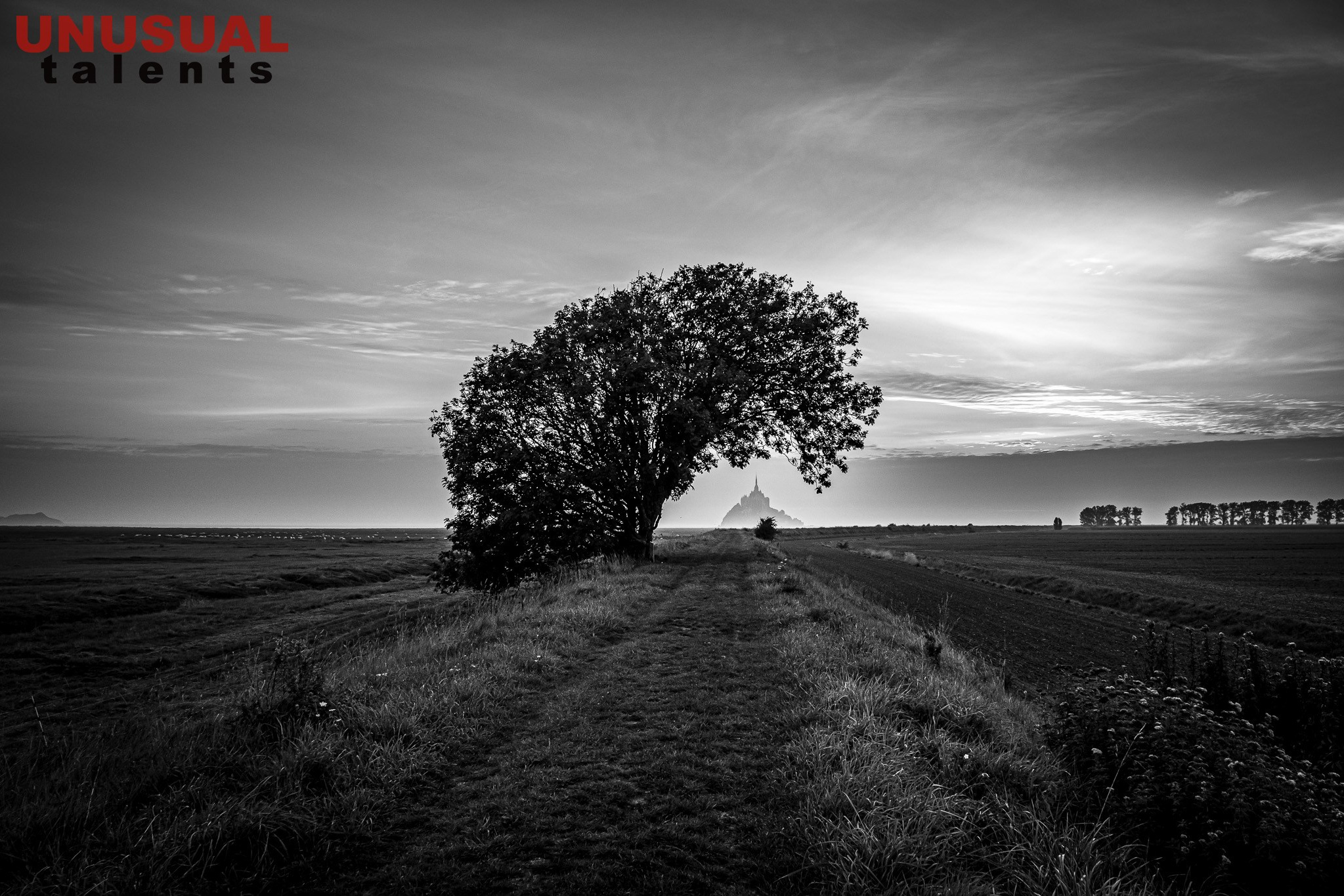 March 2026. UNUSUAL TALENT magazine