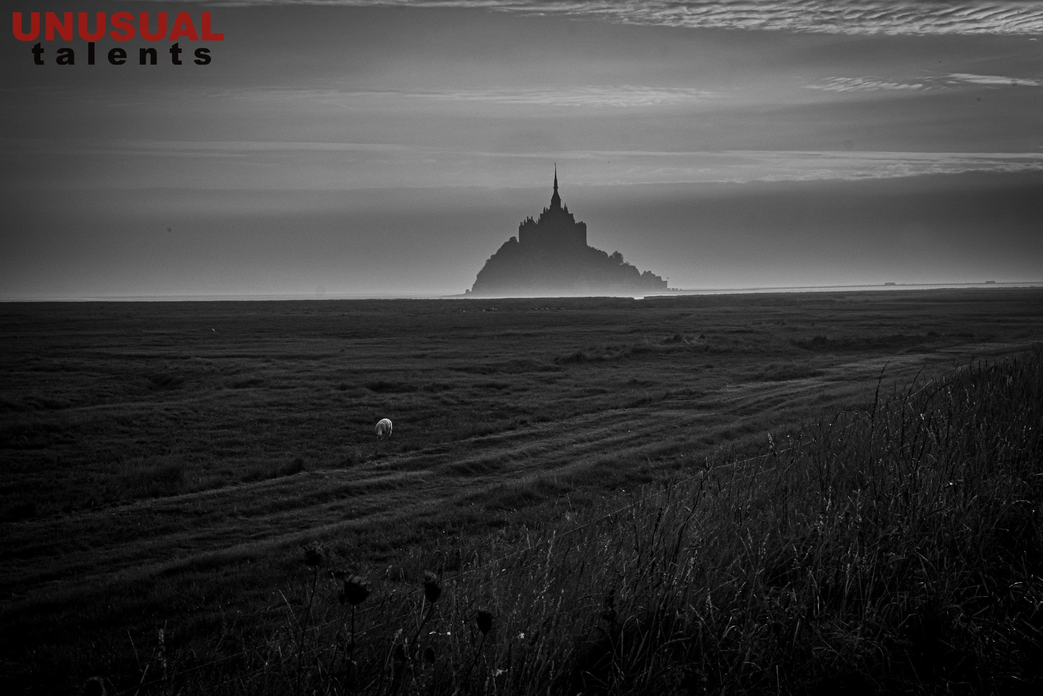 March 2026. UNUSUAL TALENT magazine