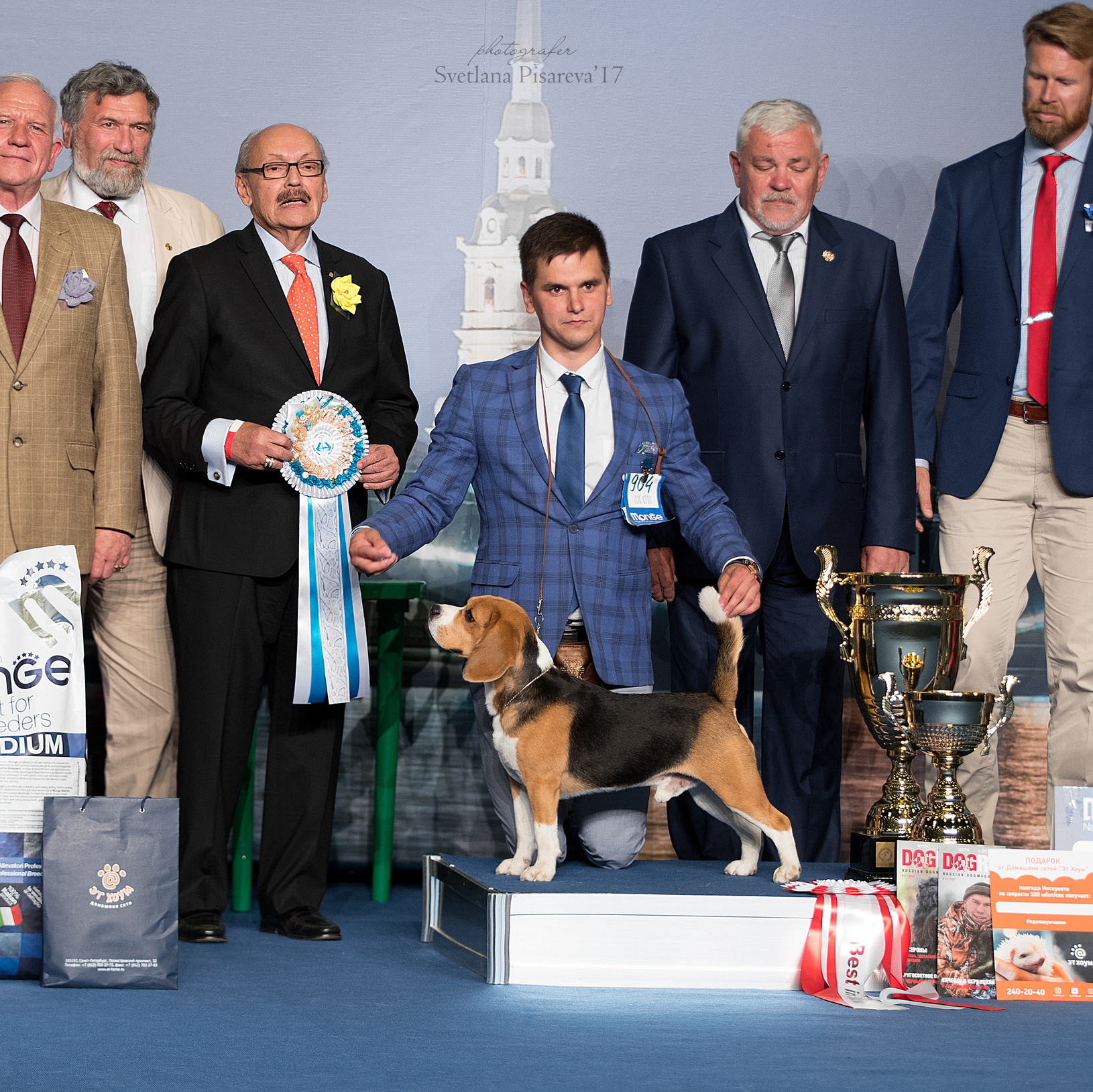 Хендлер бигль