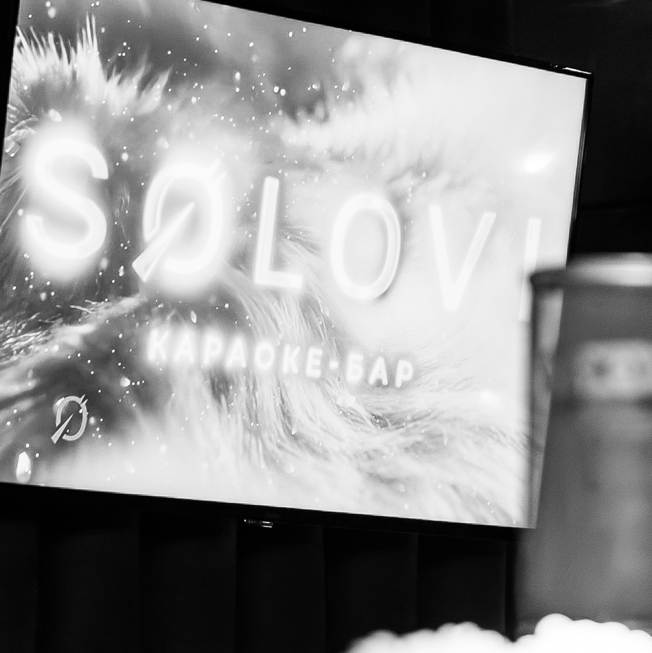 SOLOVI. СВОИ. ФОТООТЧЕТЫ-СОБЫТИЯ-МЕСТА