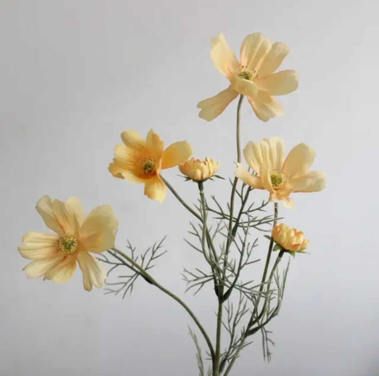 Искусственные цветы в студии. Фотостудия в Строгино