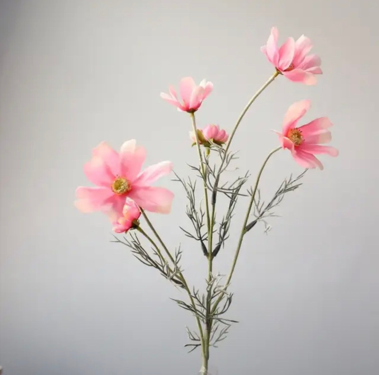 Искусственные цветы в студии. Фотостудия в Строгино