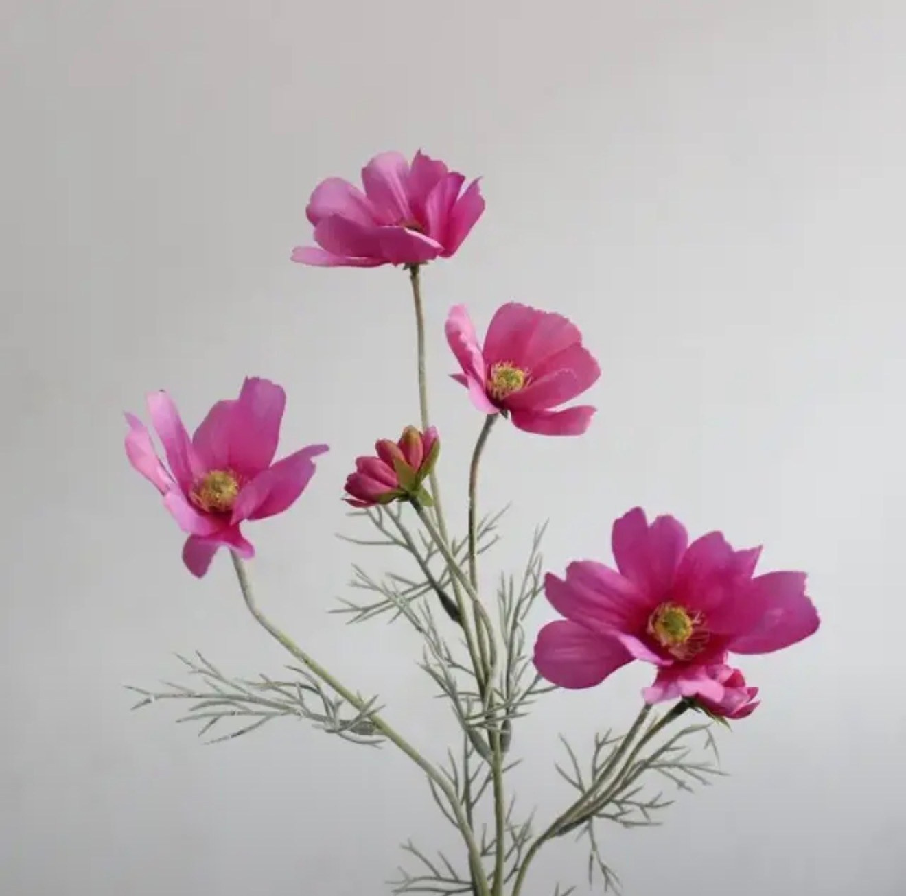 Искусственные цветы в студии. Фотостудия в Строгино