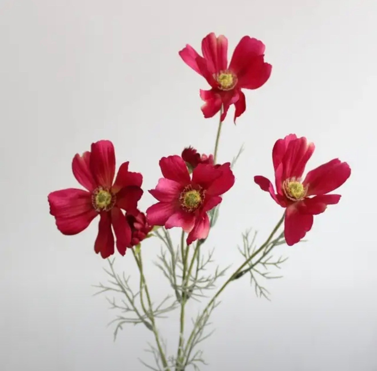 Искусственные цветы в студии. Фотостудия в Строгино