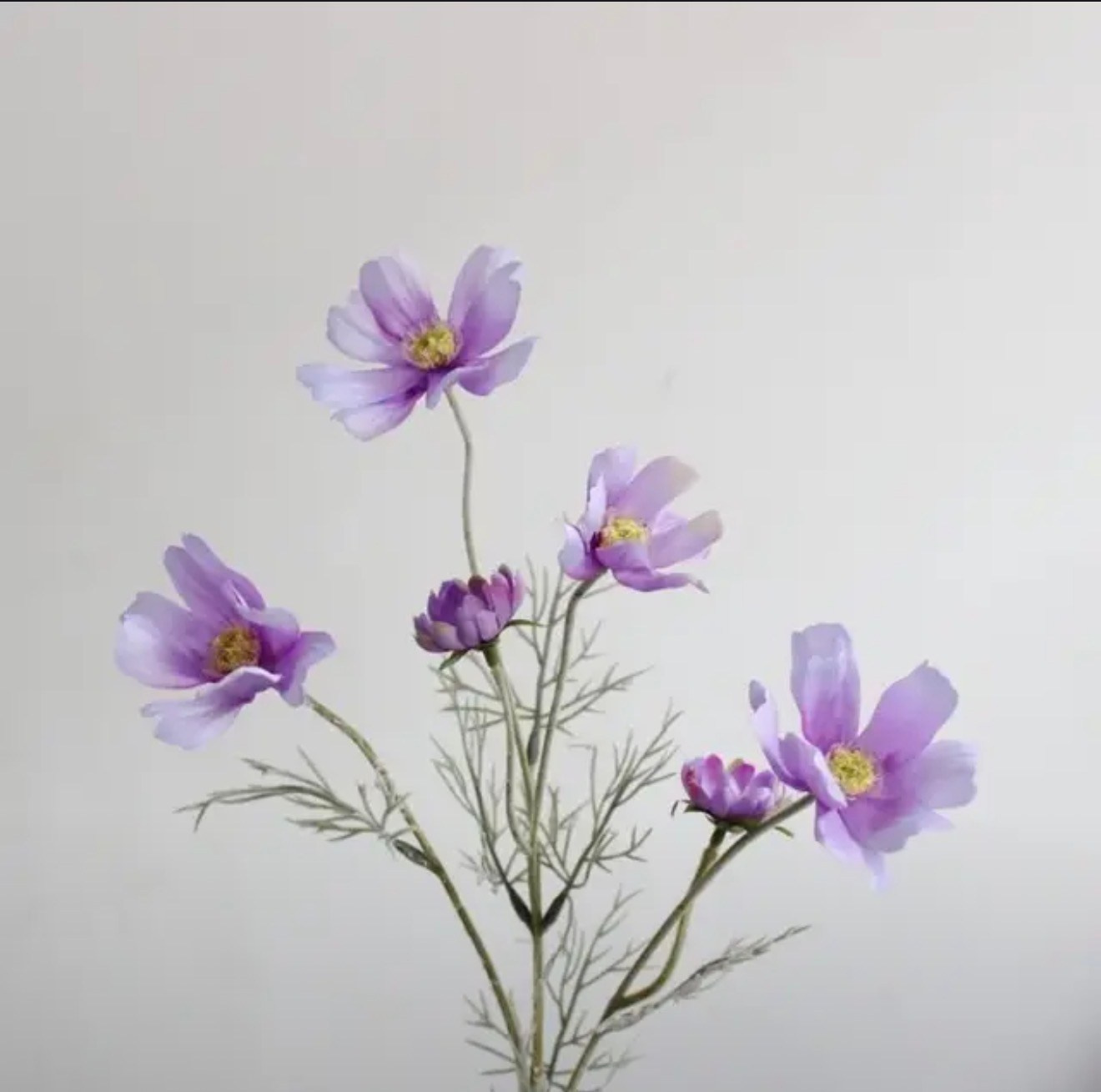 Искусственные цветы в студии. Фотостудия в Строгино