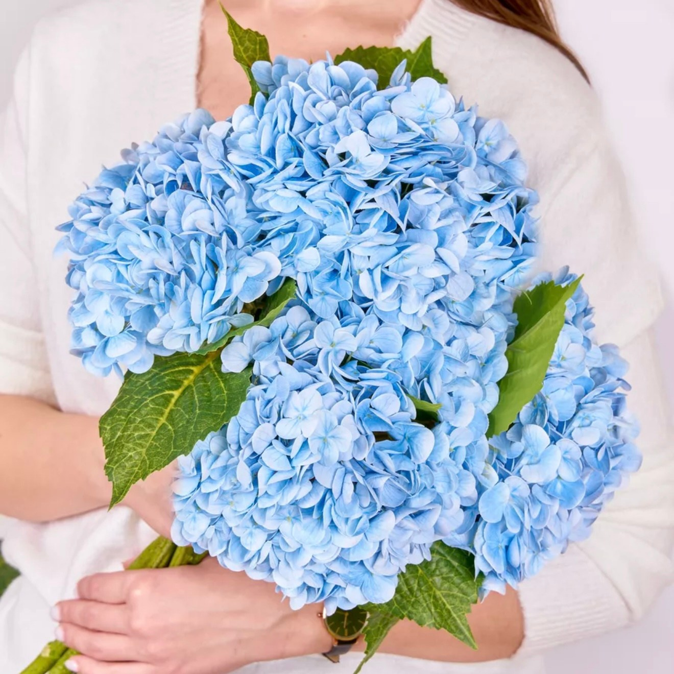 Искусственные цветы в студии. Фотостудия в Строгино