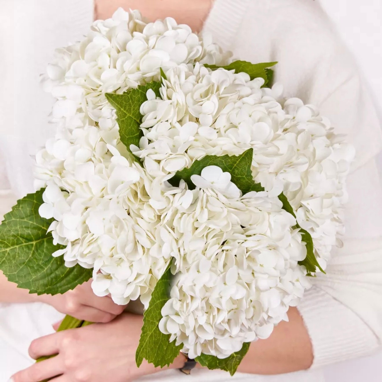 Искусственные цветы в студии. Фотостудия в Строгино