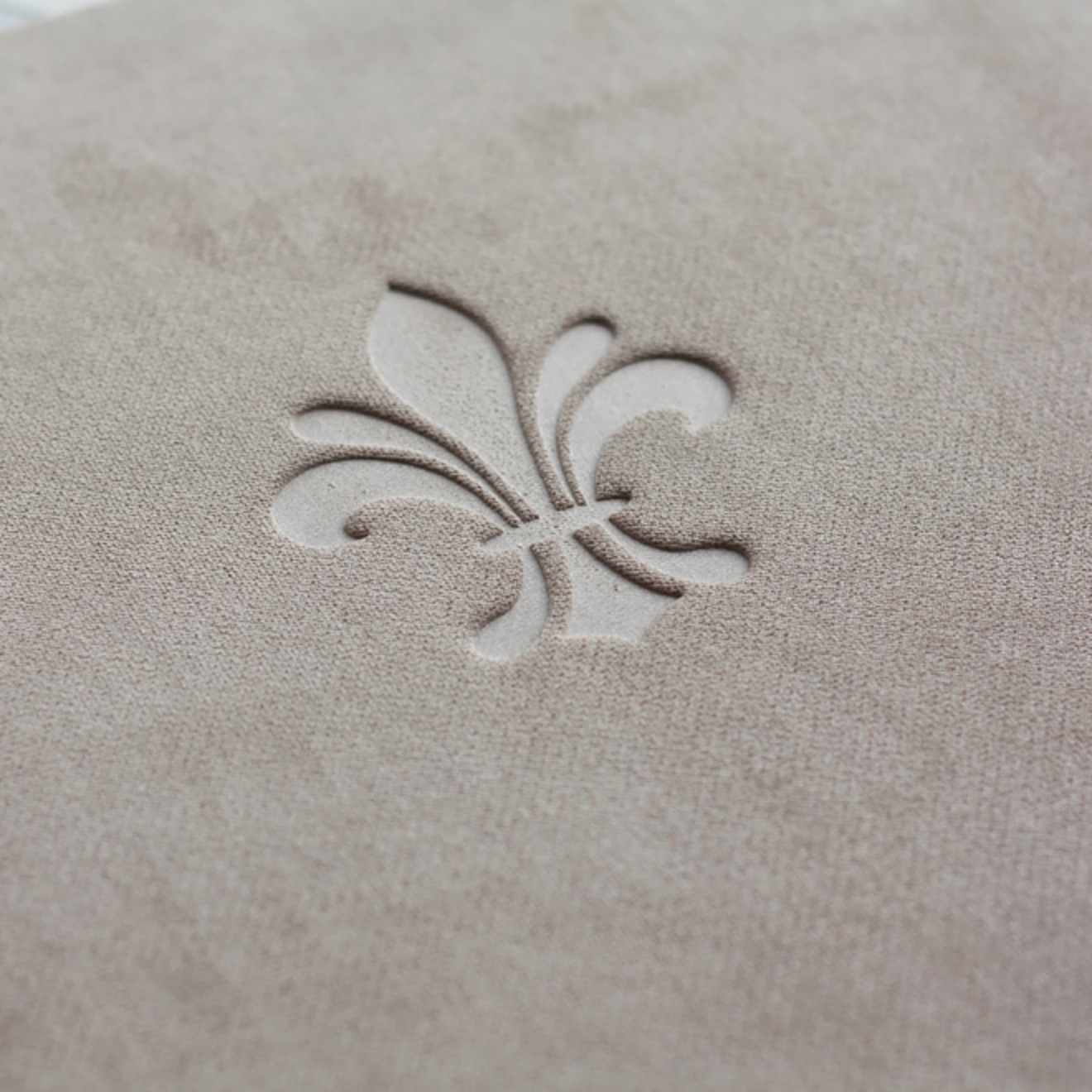 Пг, Тиснение, ткань, техн. Фотограф Ольга Молева