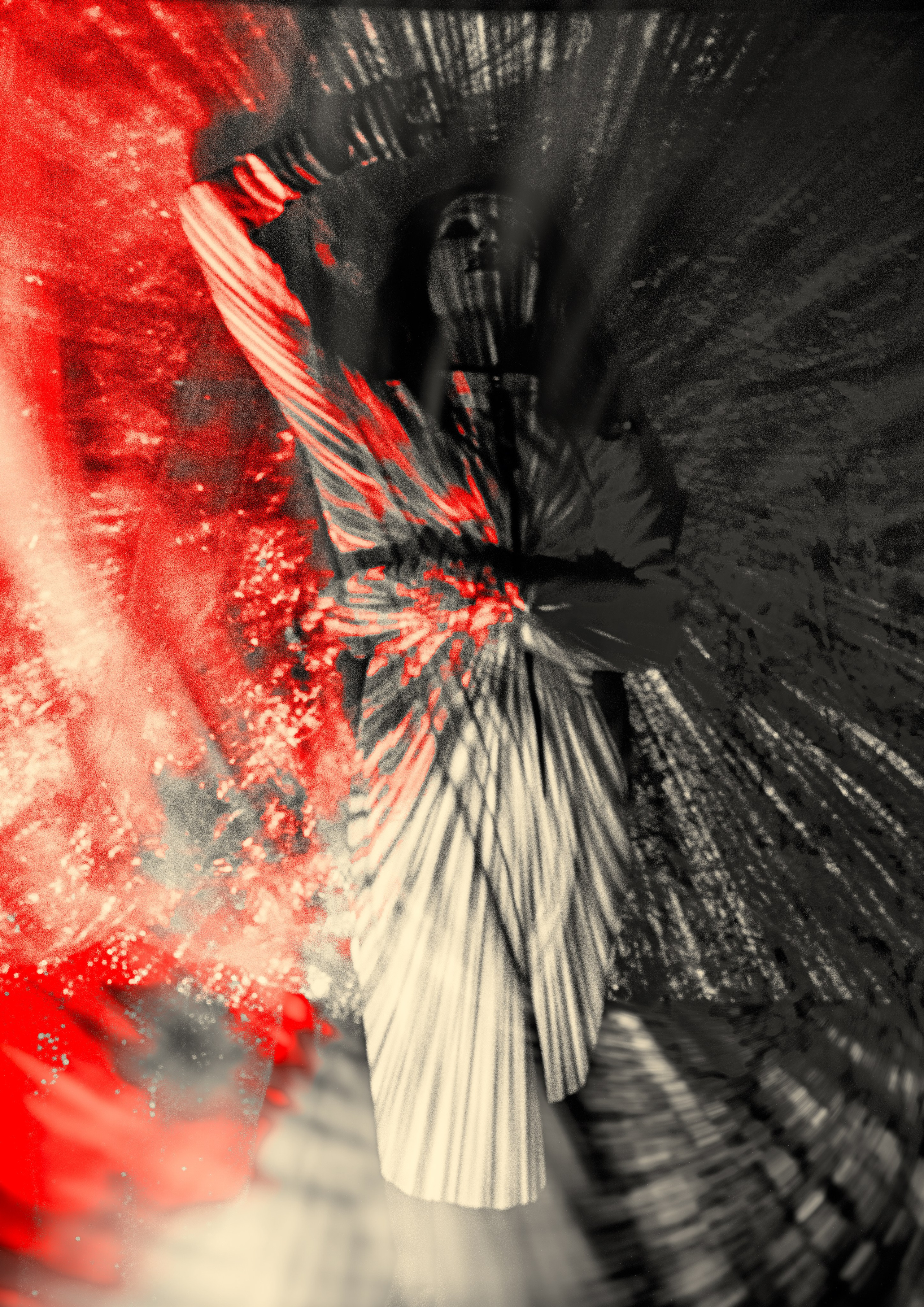 LUMINOUS SCORE. Yulia Yurchevskaya | Art Director & Visual Visionary