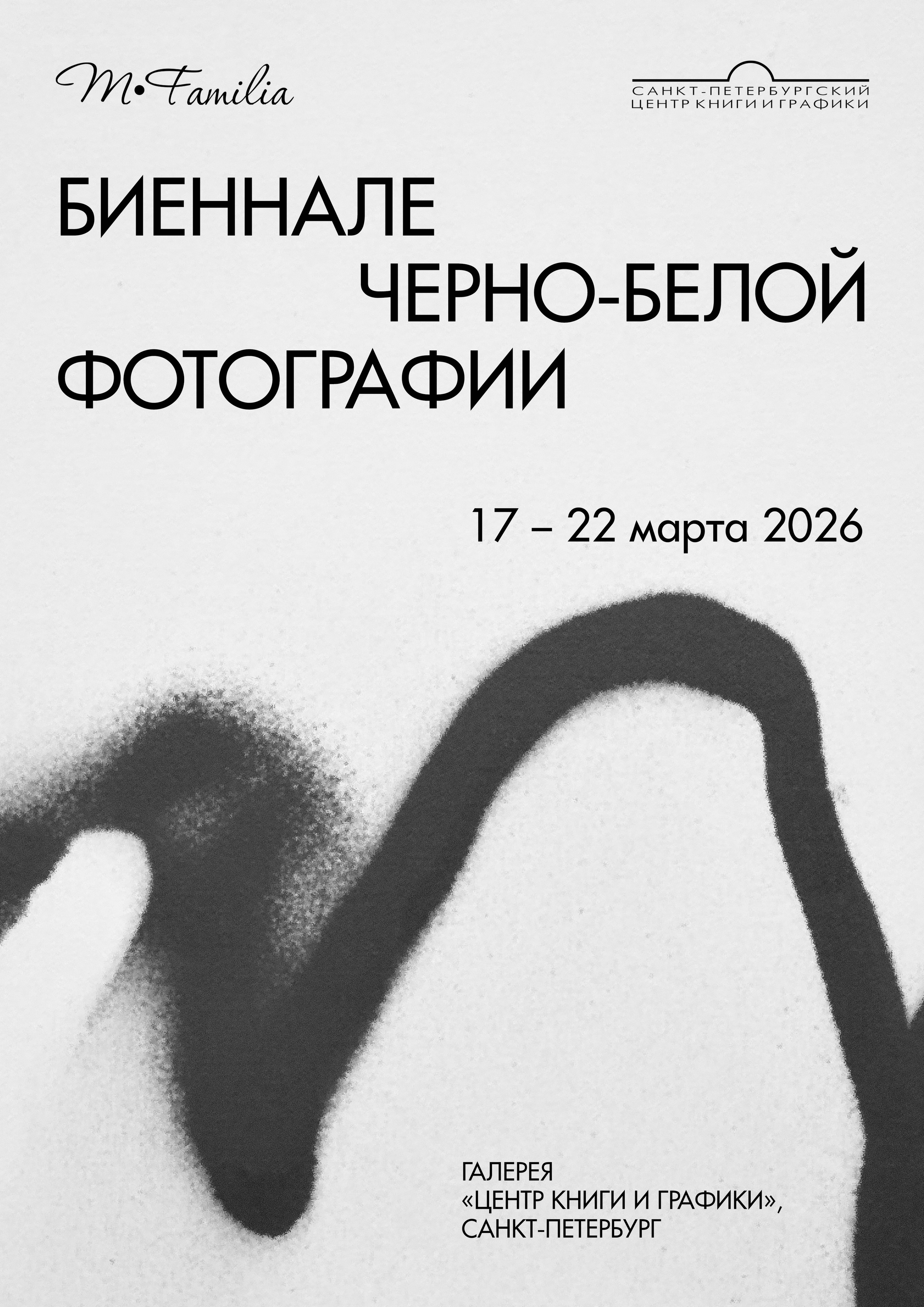 Принять участие в биеннале черно-белой фотографии. Организация фотовыставок в Петербурге и Москве, MFamilia (МФамилия)