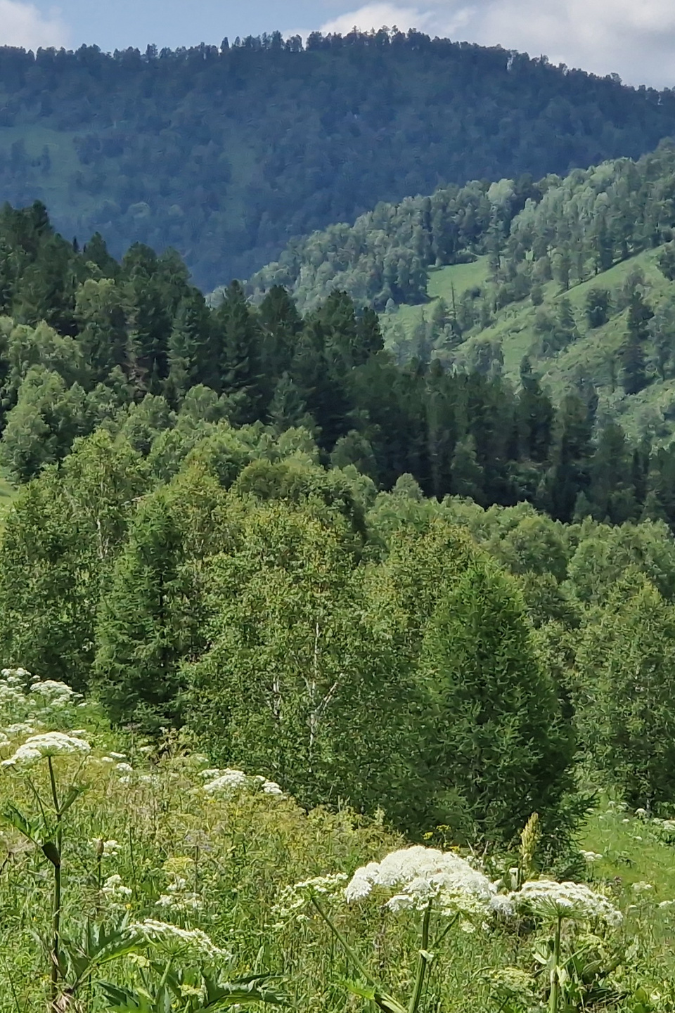 Банк земельных участков Алтая