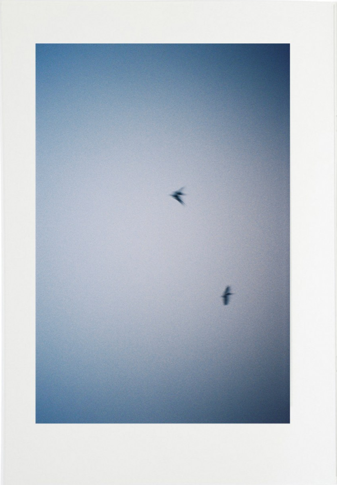 Nik Paustovskiy photography