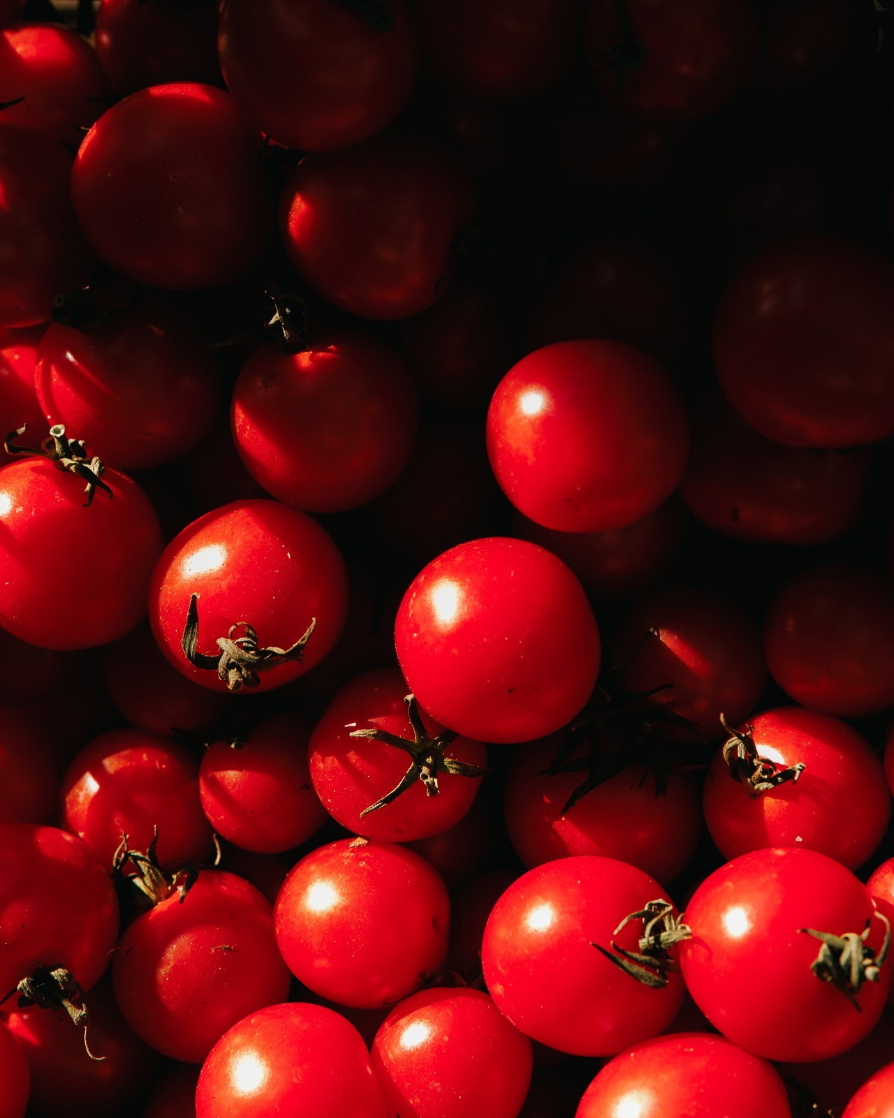Репортажный фотограф в Санкт-Петербурге Жолудев Владислав