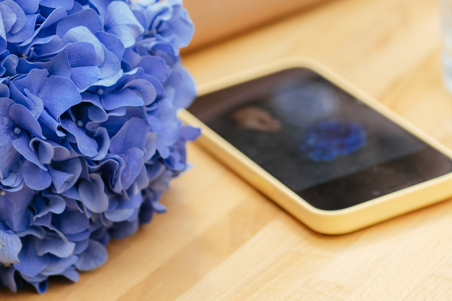 Семейный и детский фотограф в Омск Пугачева Елена