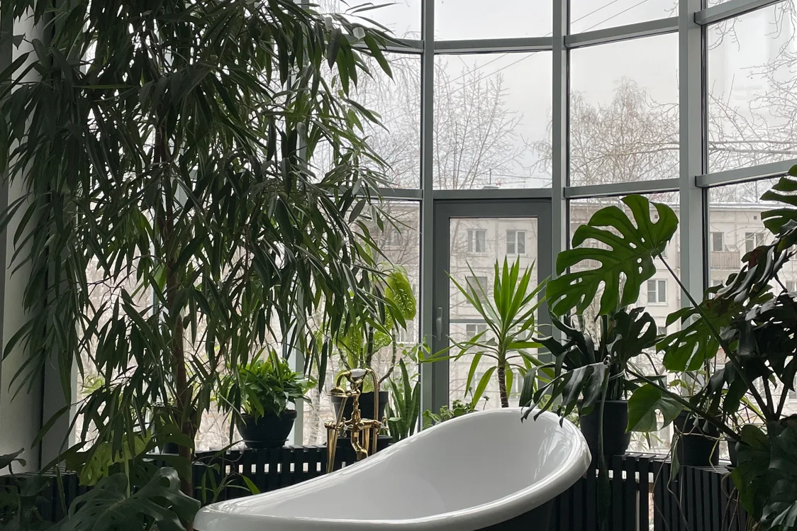 Подборка фотостудий в Москве. Женский фотограф в Москве