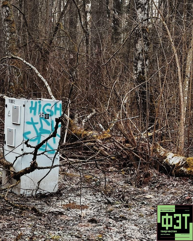 Альбом 12.04.26 в рамках ФЭТ