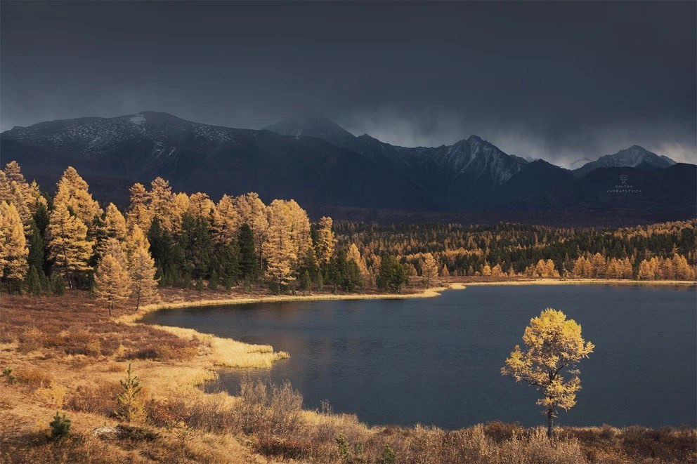 Фестиваль Беркутчи — Осень на Алтае. Фотограф Константин Шамин