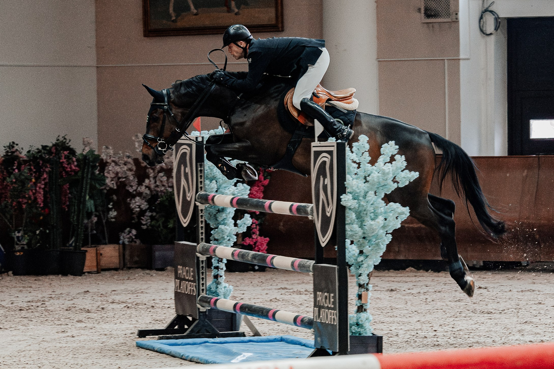 Спортивные мероприятия. Конный фотограф Куракина Дарья • Фотосессии с лошадьми