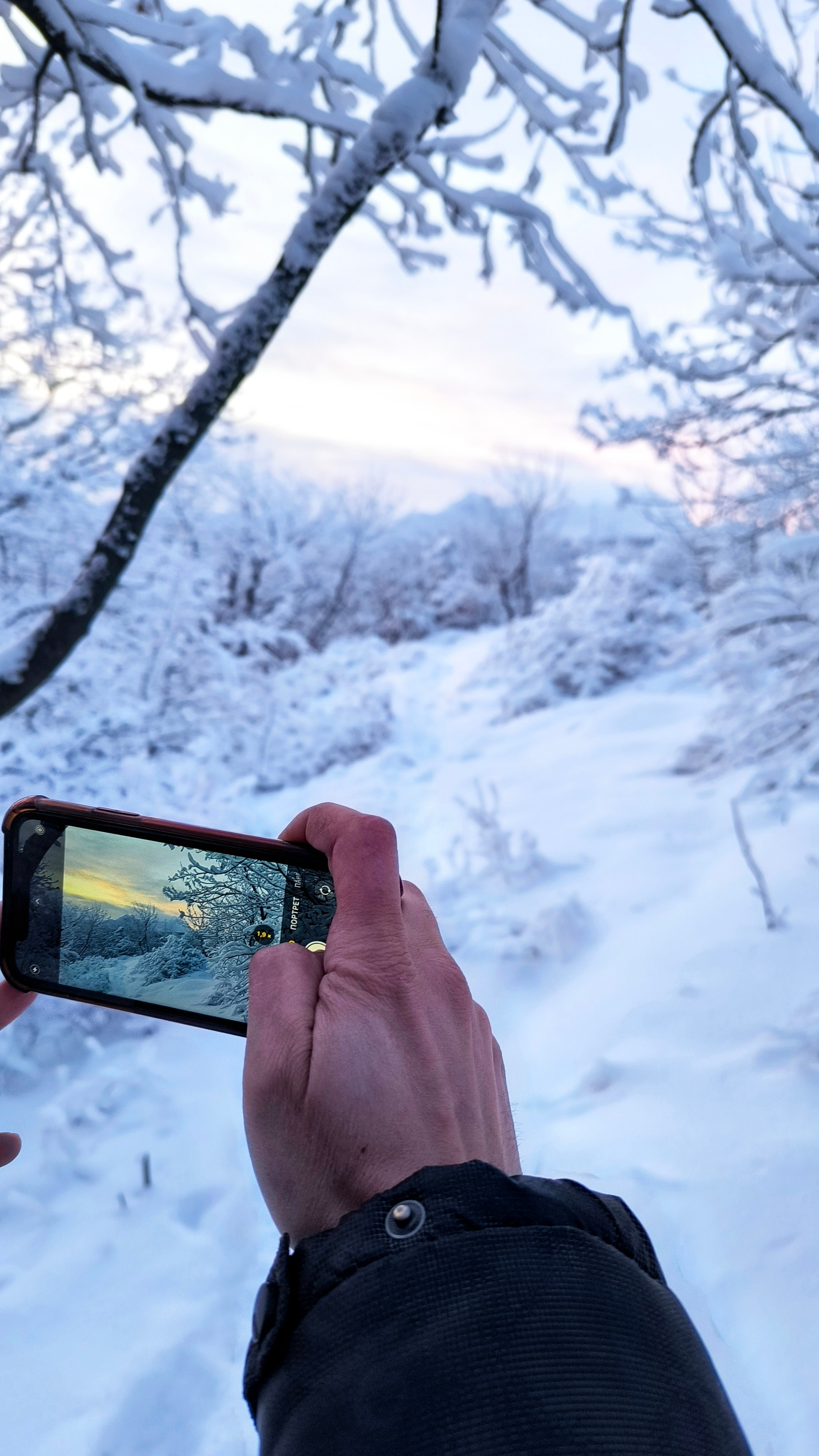Снегопад в Пятигорске. Зимнее КМВ. Красота Кавказа в каждом кадре. Фотосайт Андрея Прокопенко