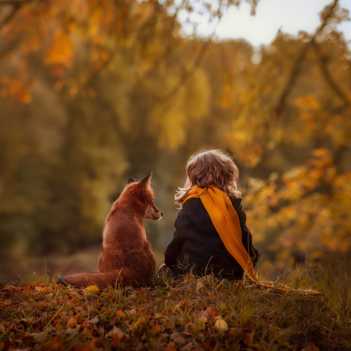 Все уроки. Фотограф Катерина Захарова