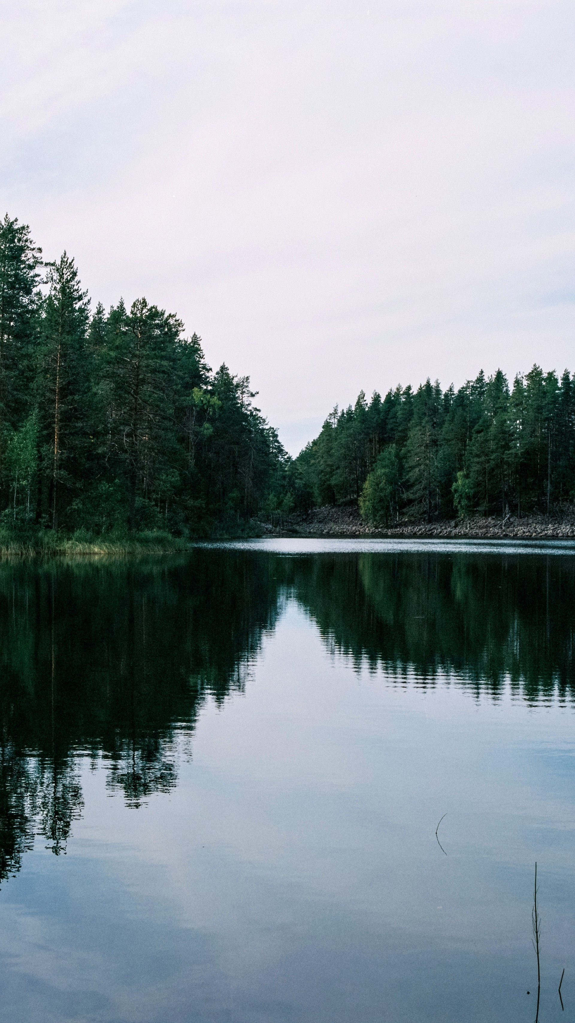 Карелия 2024. Стилист и плёночный фотограф Анастасия Шлокова в Санкт-Петербурге и Москве