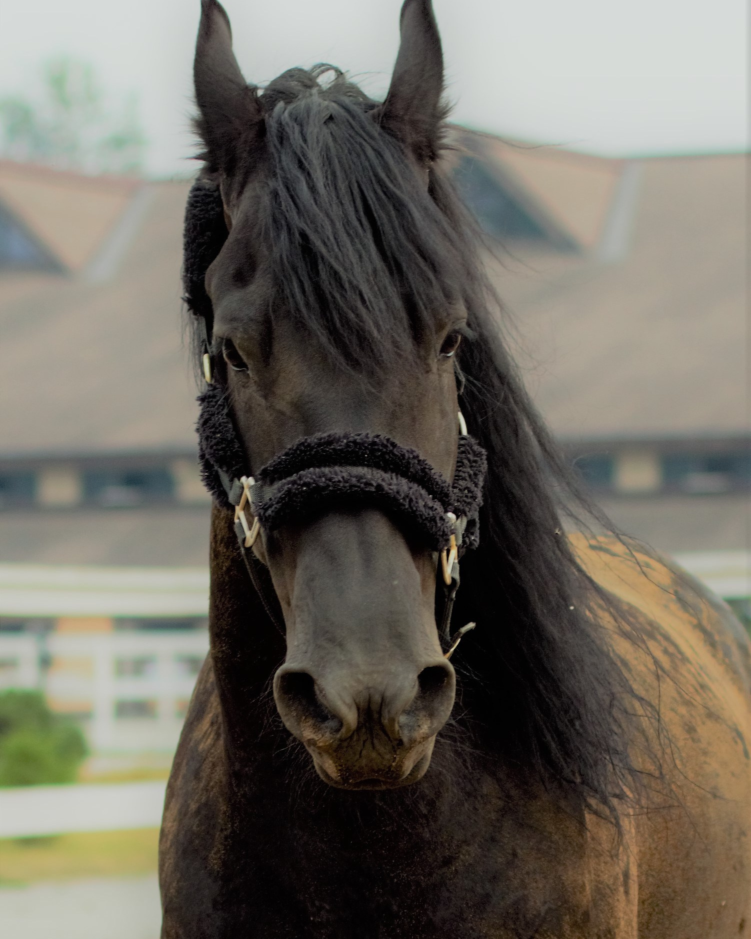 Фотограф в Москве Светлана Богначева