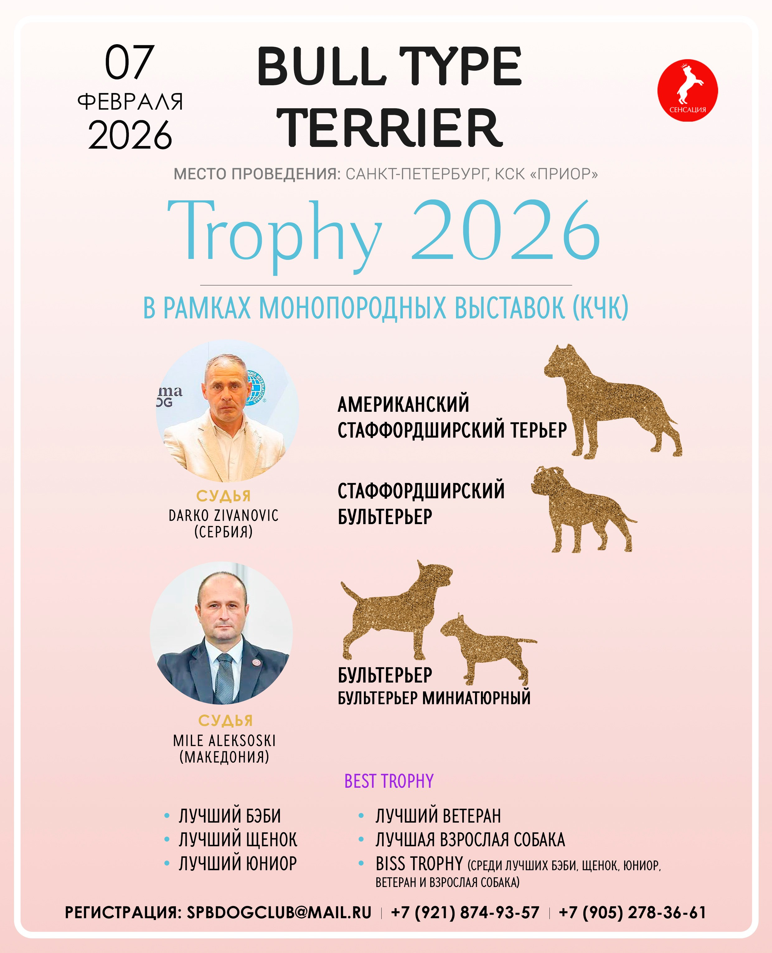 Анонсы. Кинологический клуб РКФ РФСС СЕНСАЦИЯ