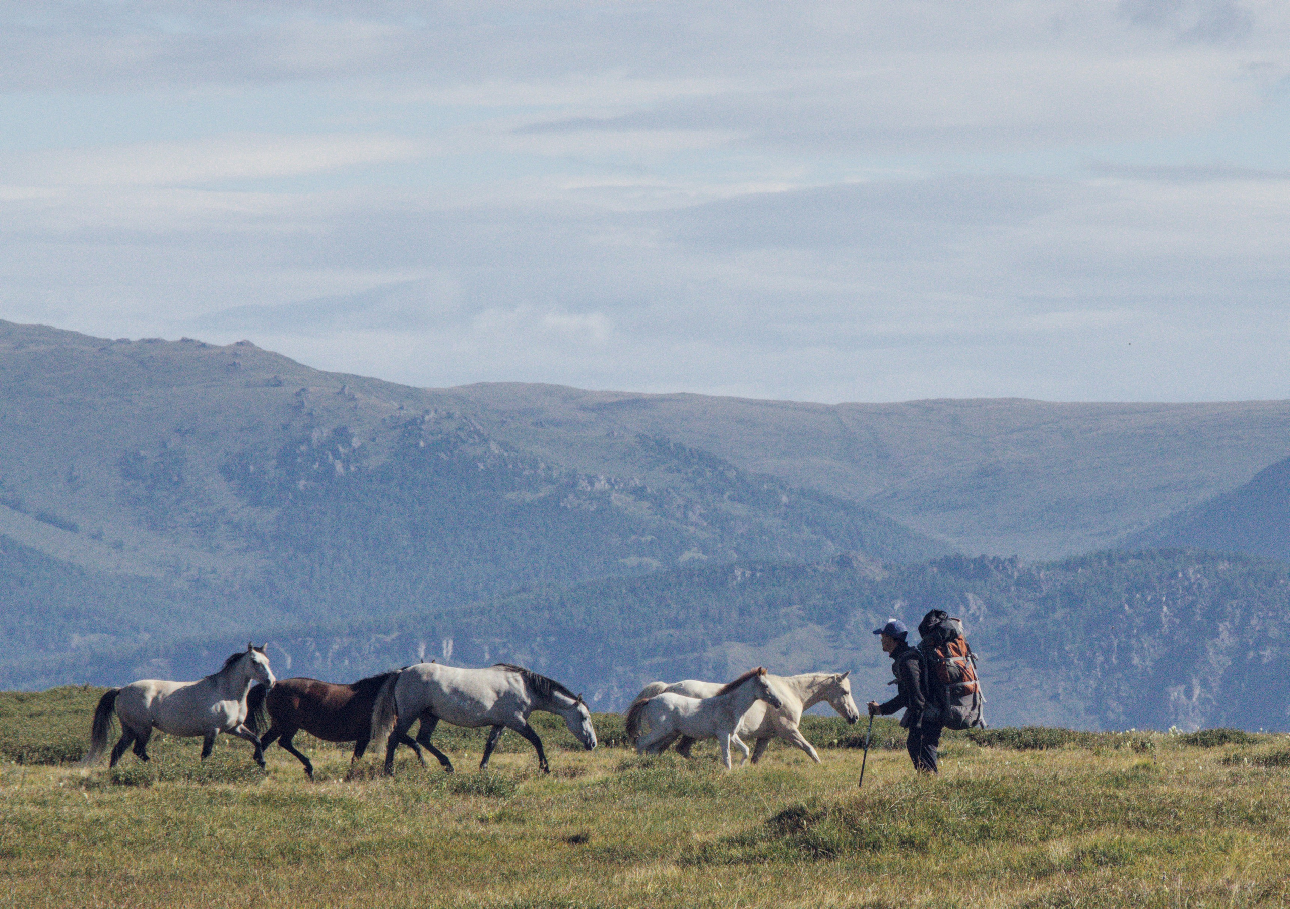 Алтай Северо чуйский