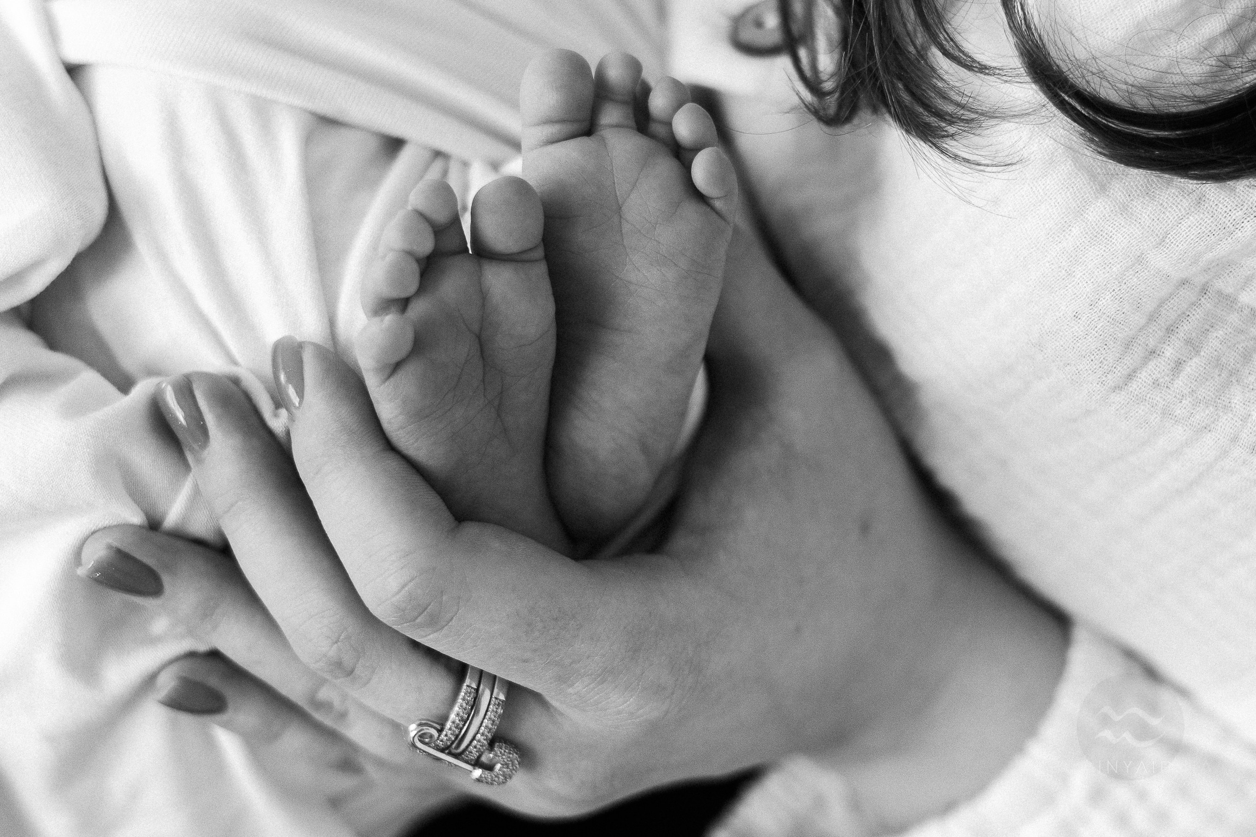 перинатальный фотограф москва