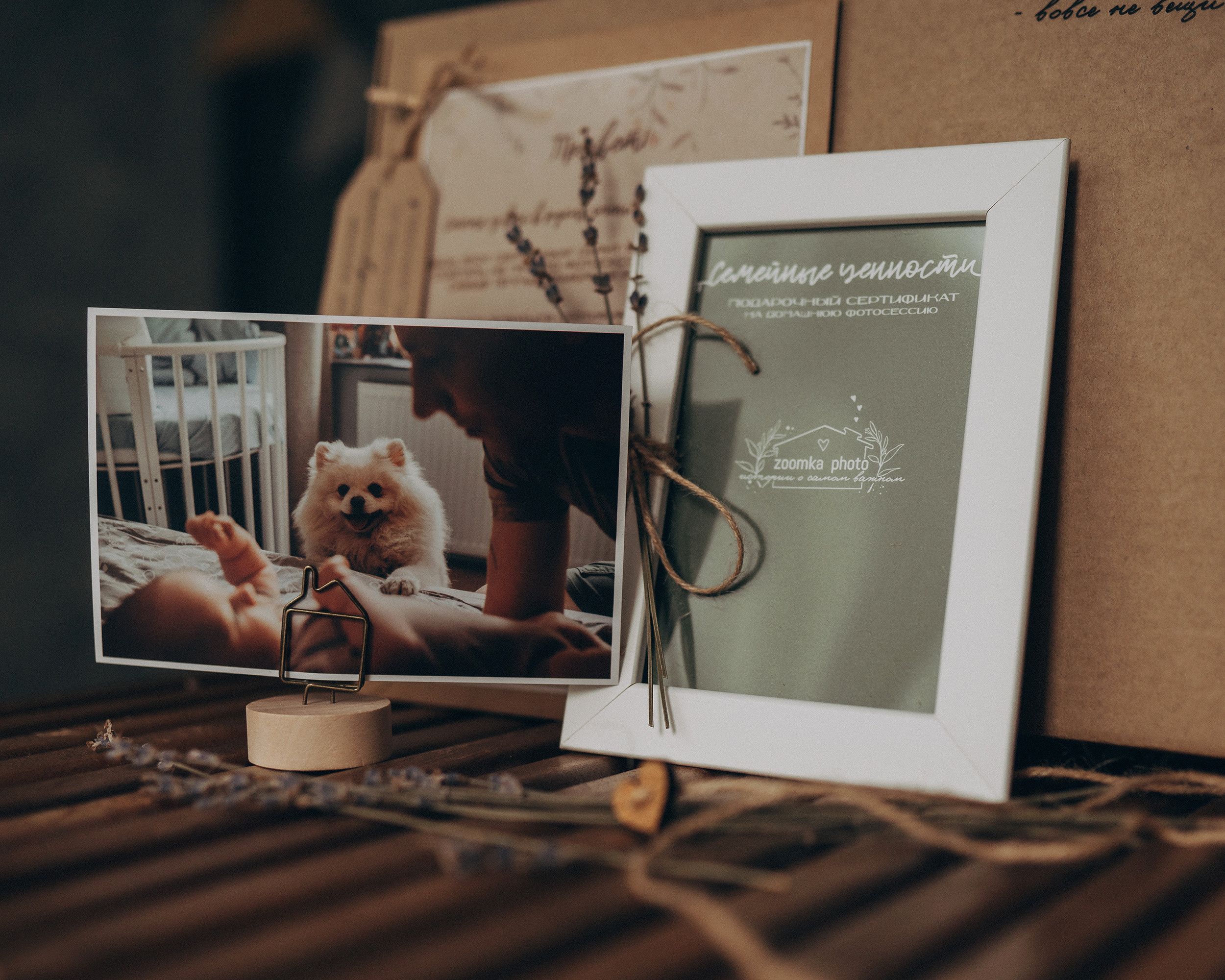 Подарочный сертификат. Детский и семейный фотограф — Калининград — Юля Насифуллина