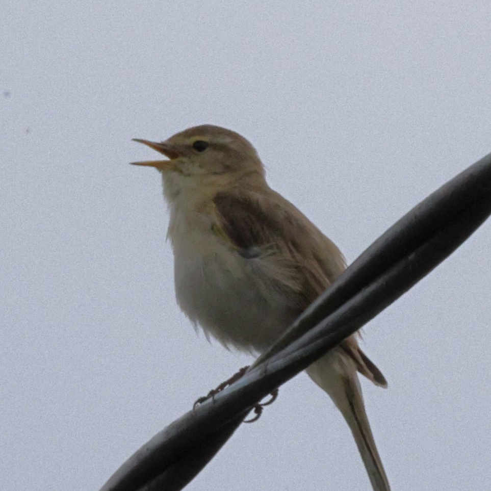 Выходные 7–8 июня