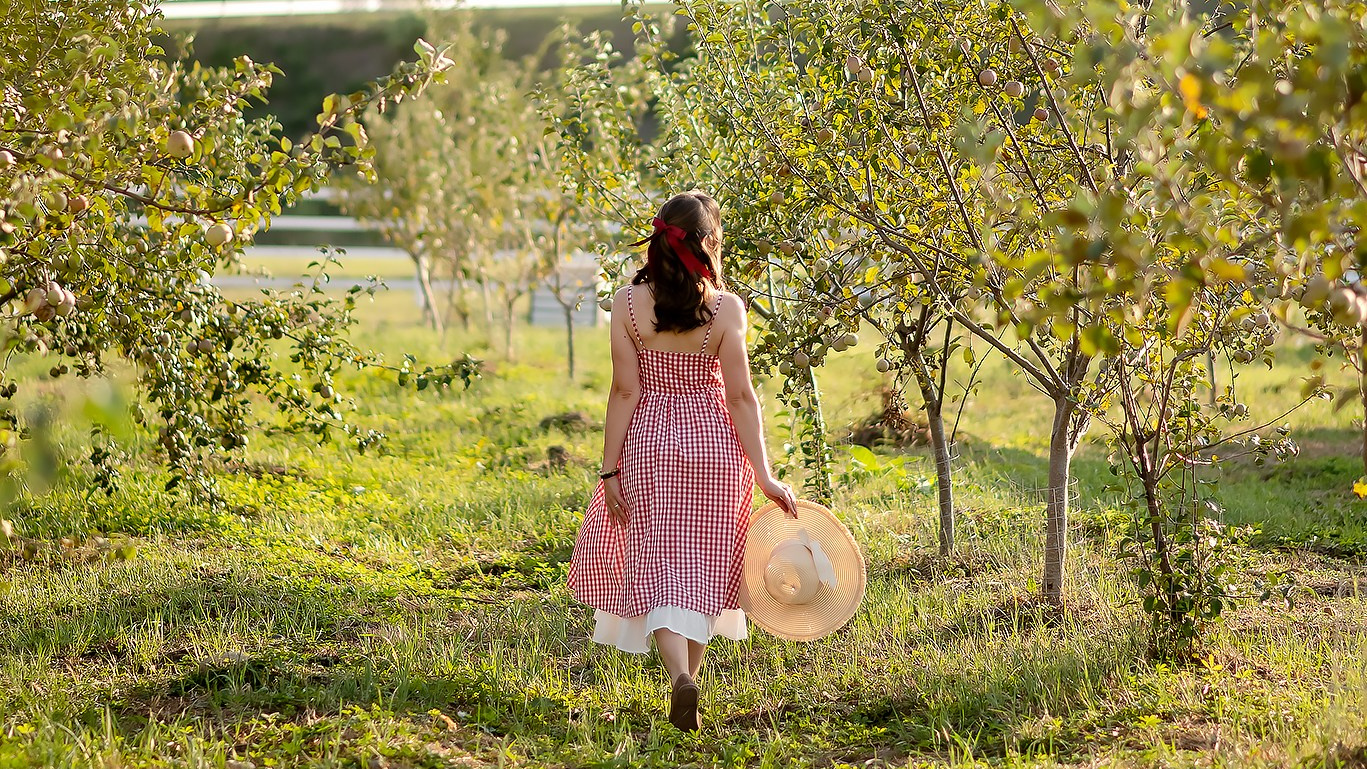 Прайс. Фотограф Катрина Динкель