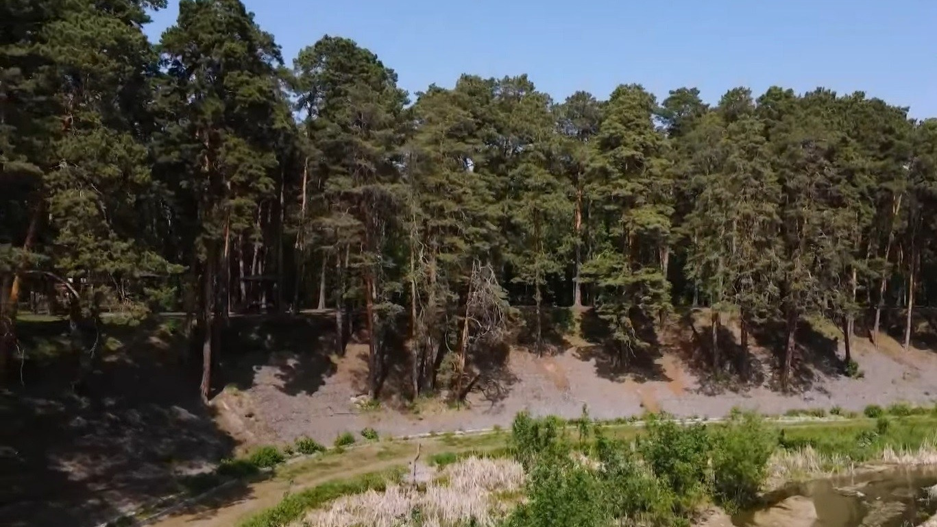 Для семьи, малой компании. Экскурсии в Тюмени и выездные