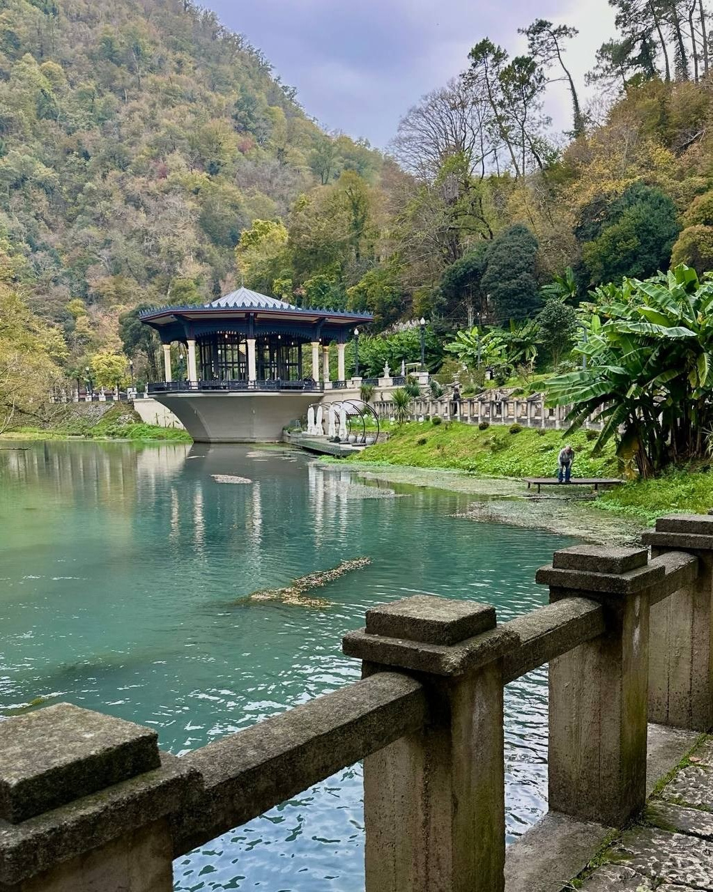 Абхазия. Мимоза. Ольга Котова