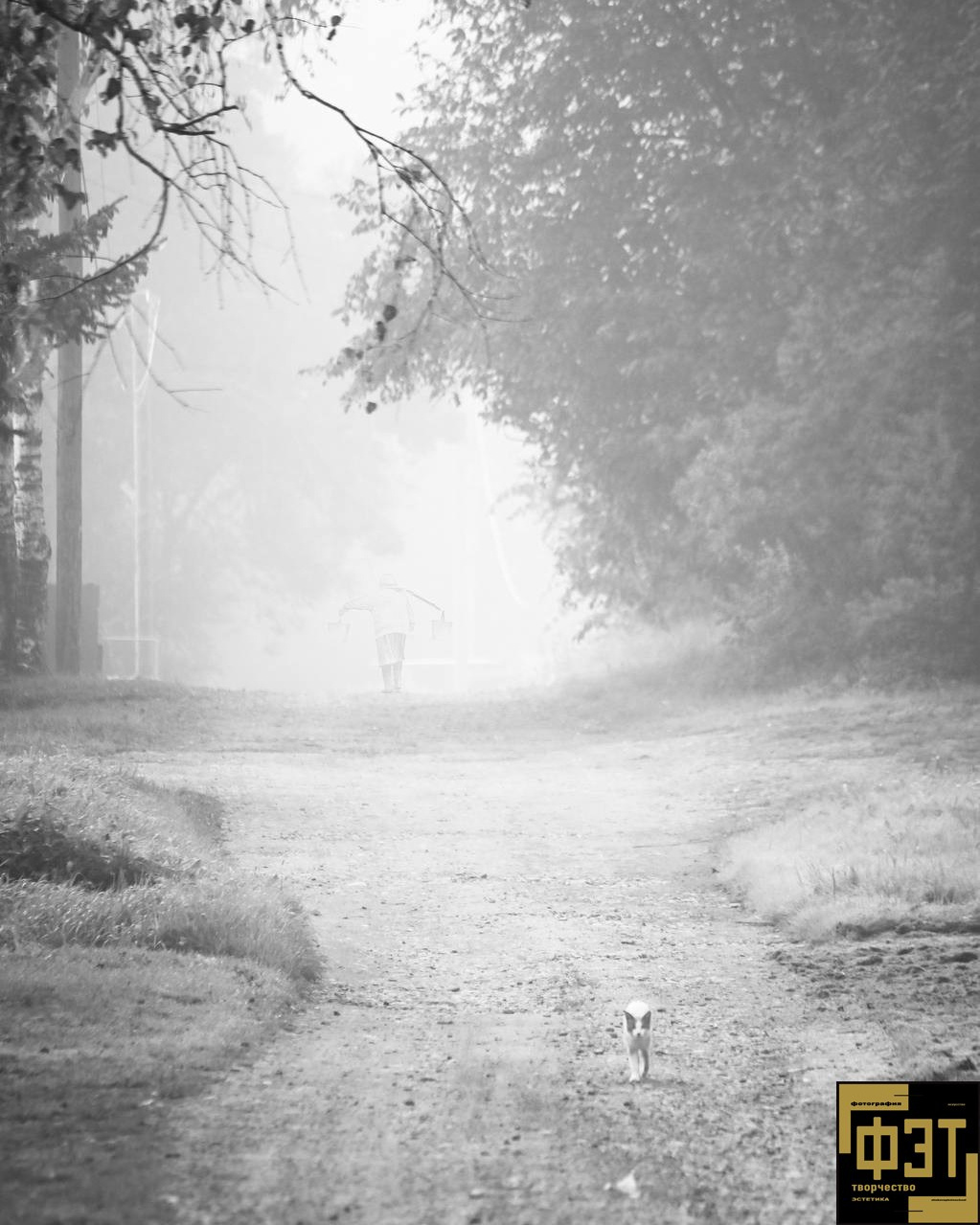 Выбор зрителей. Альбом 11.01.26