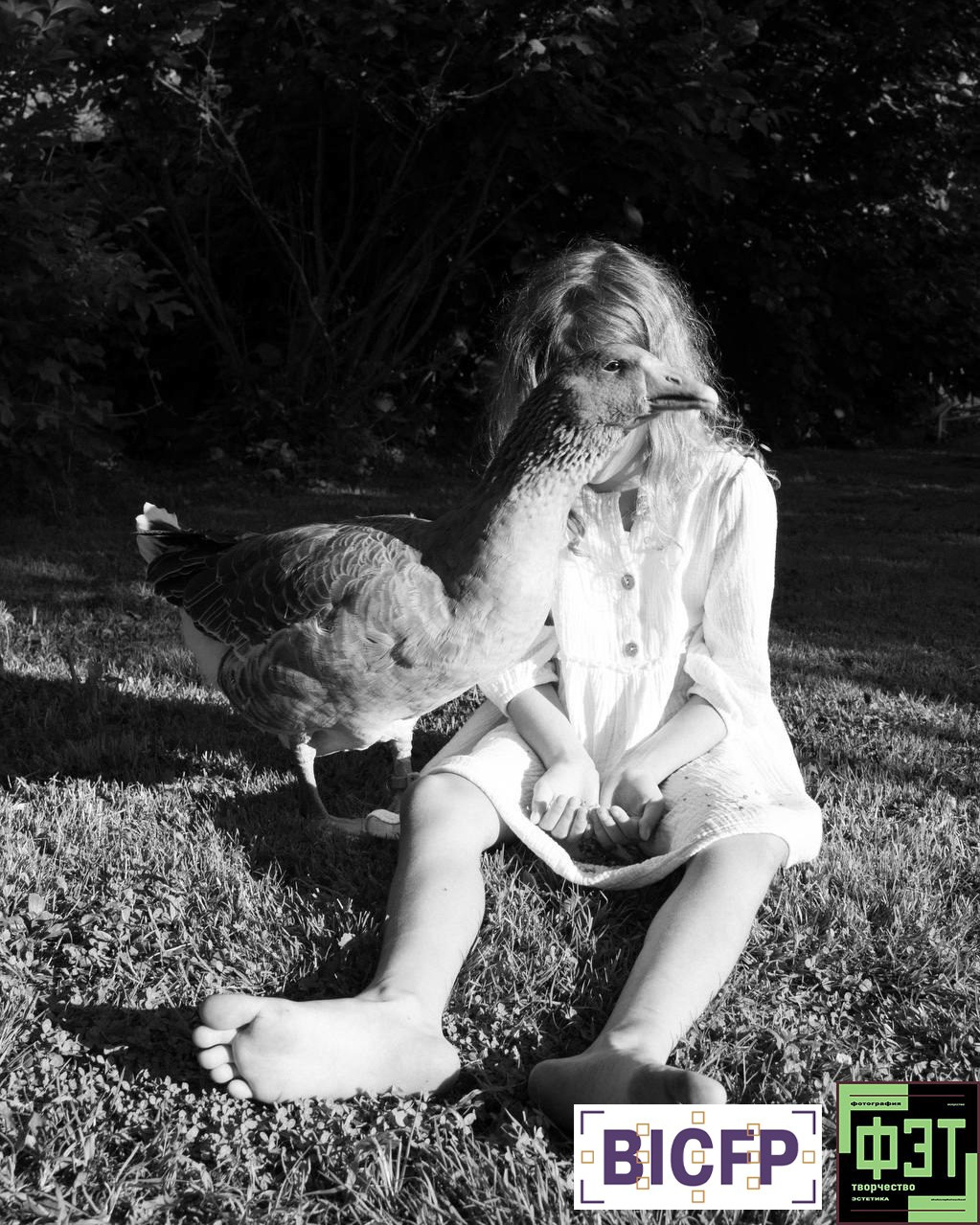 Альбом 28.12.25 ФЭТ