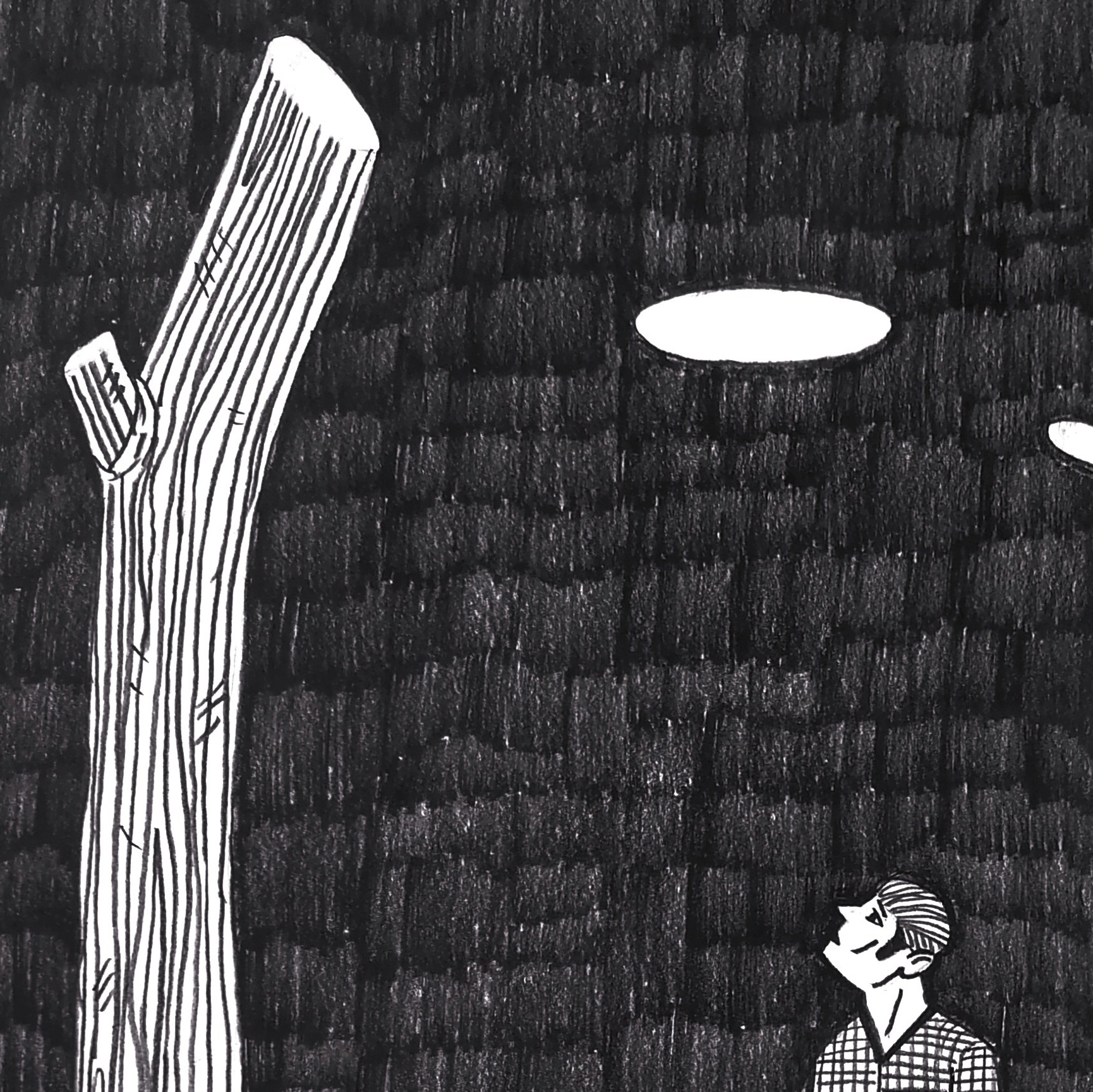 Графические листы. Художник Рыбак Николай