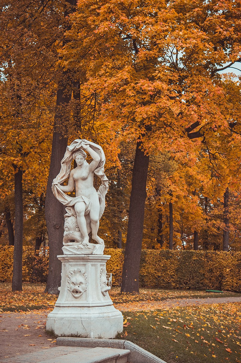 Осень в Царском Селе. Фотограф и искусствовед в Туле и Санкт-Петербурге Нелли Некрасова