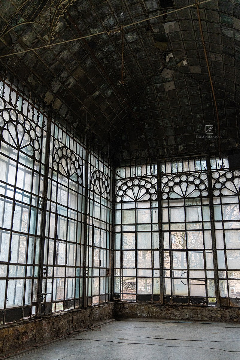 Заброшенный особняк Брусницыных на Васильевском острове. Фотограф и искусствовед в Туле и Санкт-Петербурге Нелли Некрасова