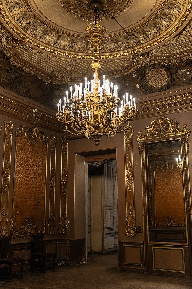 Заброшенный особняк Брусницыных на Васильевском острове. Фотограф и искусствовед в Туле и Санкт-Петербурге Нелли Некрасова