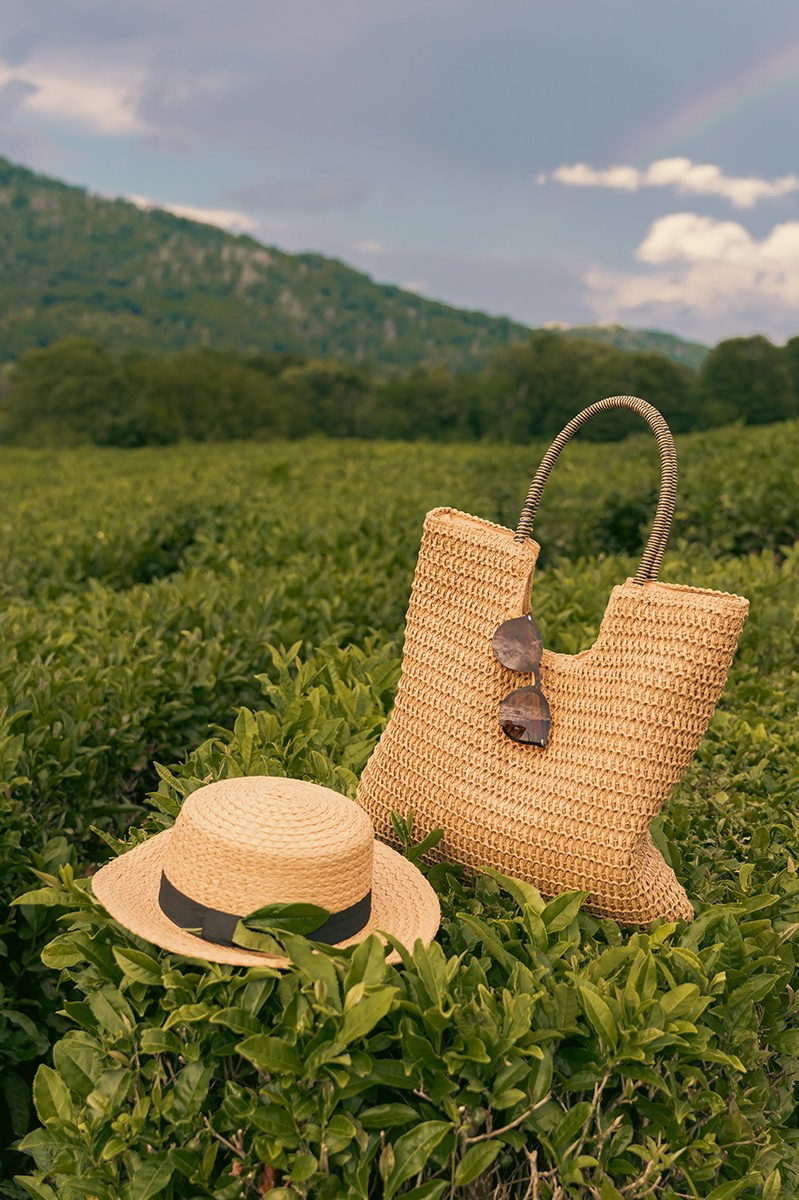 Самые северные чайные плантации в мире. Фотограф и искусствовед в Туле и Санкт-Петербурге Нелли Некрасова